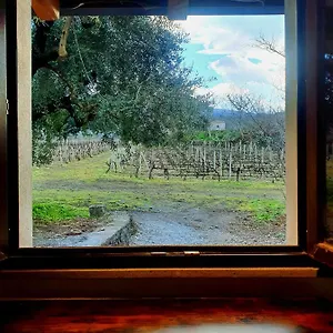 Chalet La Finestra Sul Vigneto, Castiglione De Sicilia